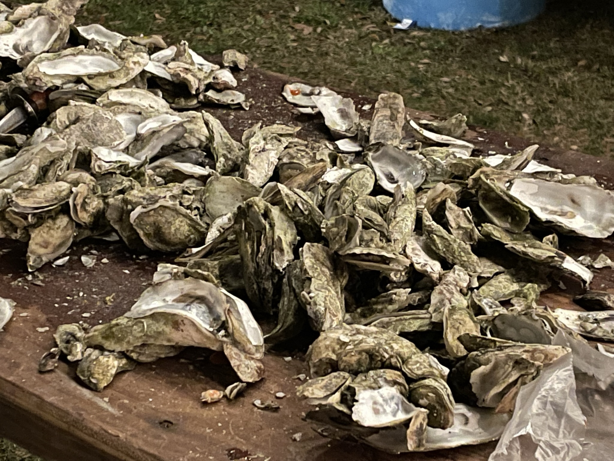 Annual Oyster Roast - Schucked Oysters